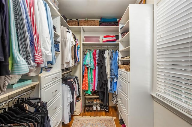 walk in closet with light hardwood / wood-style flooring