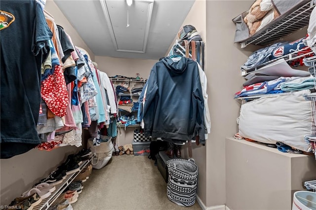 walk in closet featuring attic access and carpet floors