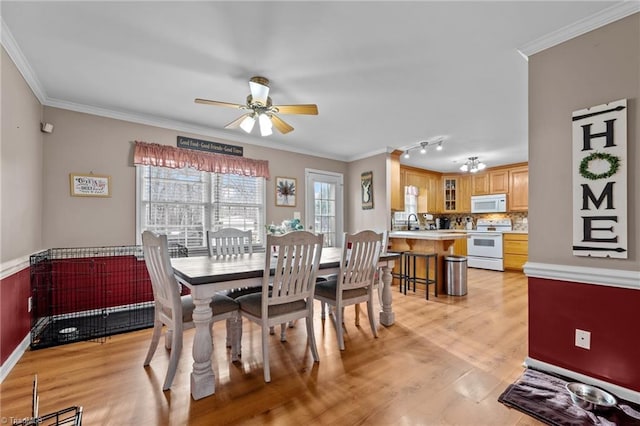 dining room with track lighting, ornamental molding, a ceiling fan, and light wood finished floors