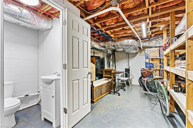 unfinished below grade area featuring a sink and concrete block wall