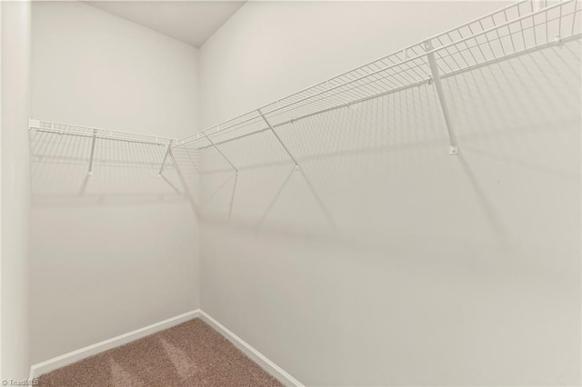 walk in closet with carpet