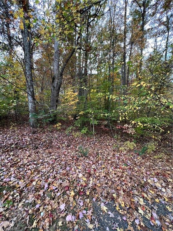 9.5 Aladdin Rd, Pfafftown NC, 27040 land for sale