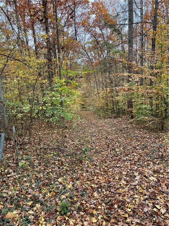9.5 Aladdin Rd, Pfafftown, NC 27040