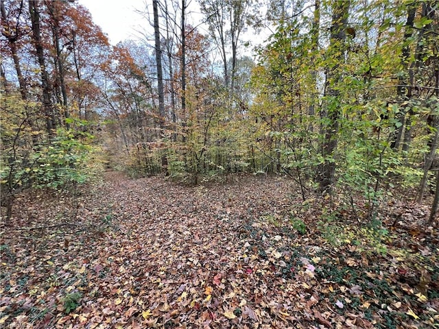 9.5 Aladdin Rd, Pfafftown, NC 27040