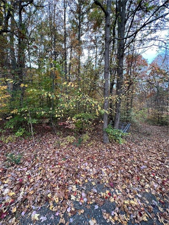 9.5 Aladdin Rd, Pfafftown, NC 27040