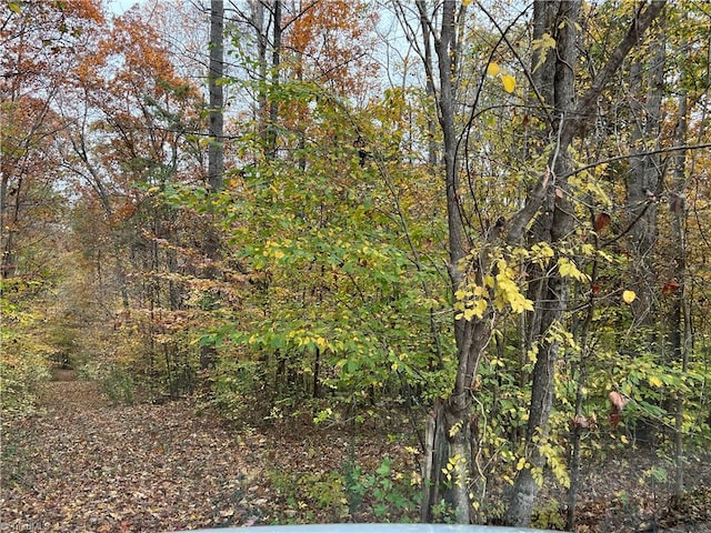 9.5 Aladdin Rd, Pfafftown, NC 27040