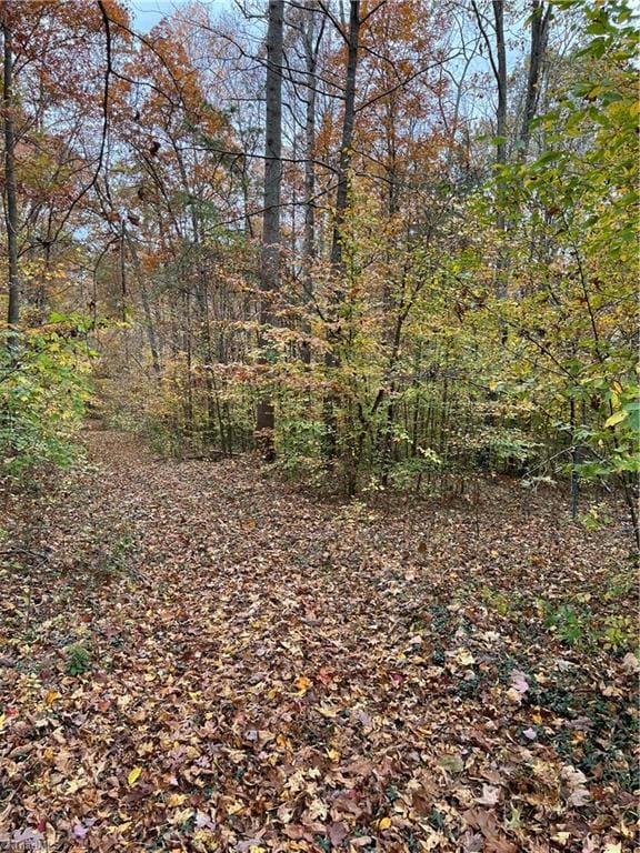 9.5 Aladdin Rd, Pfafftown, NC 27040