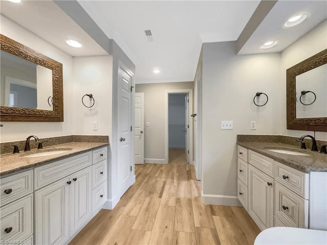 bathroom with vanity and wood-type flooring