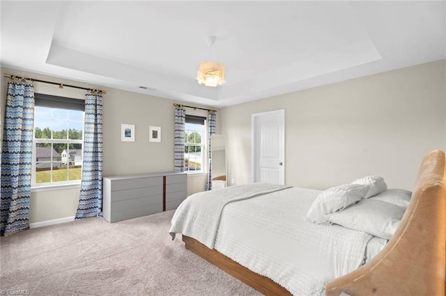 1827 Deveron Ct, Kernersville, NC 27284 - bedroom featuring a tray ceiling and carpet floors