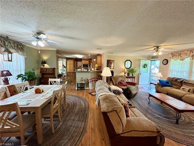 7658 Salem Chapel Rd, Walnut Cove, NC 27052 - living room featuring ceiling fan, a textured ceiling, light wood finished floors, and crown molding