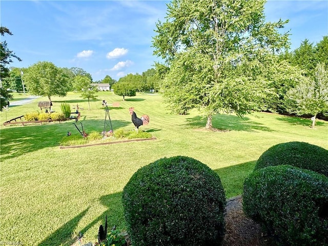 7658 Salem Chapel Rd, Walnut Cove, NC 27052 - view of community featuring a yard