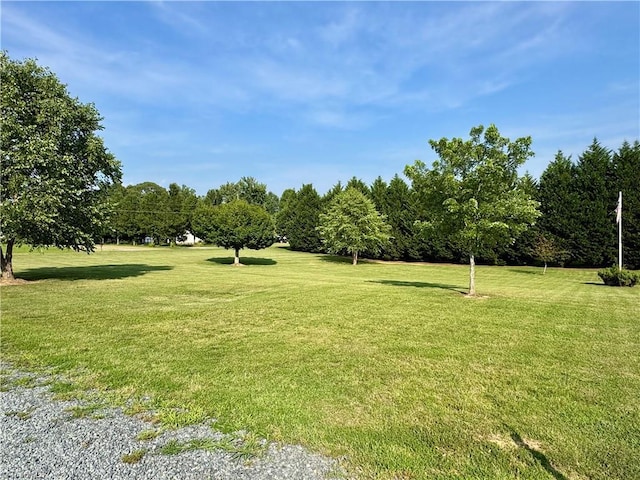 7658 Salem Chapel Rd, Walnut Cove, NC 27052 - view of community with a yard