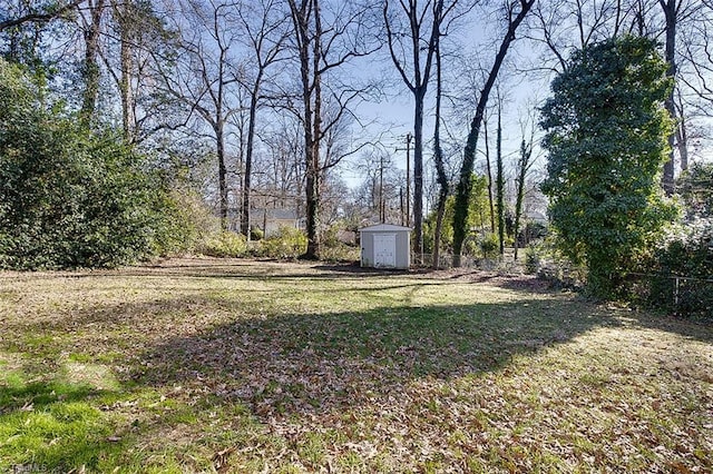 view of yard featuring a storage shed