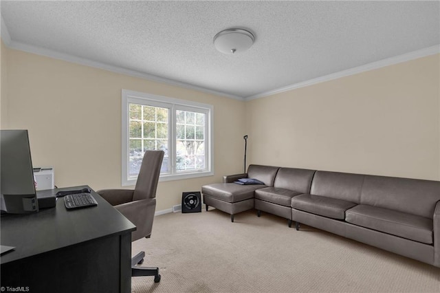 carpeted office space with ornamental molding and a textured ceiling