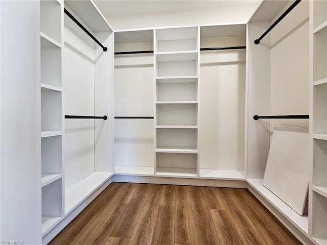 spacious closet with dark wood finished floors