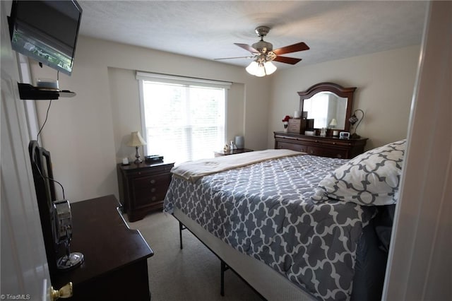 113 Stone Bridge Rd, Mount Airy, NC 27030 - bedroom with light colored carpet and a ceiling fan