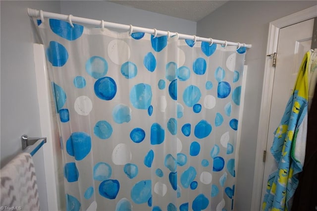 113 Stone Bridge Rd, Mount Airy, NC 27030 - full bath with a shower with shower curtain