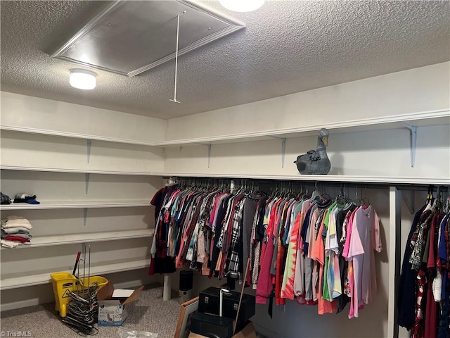 spacious closet with carpet