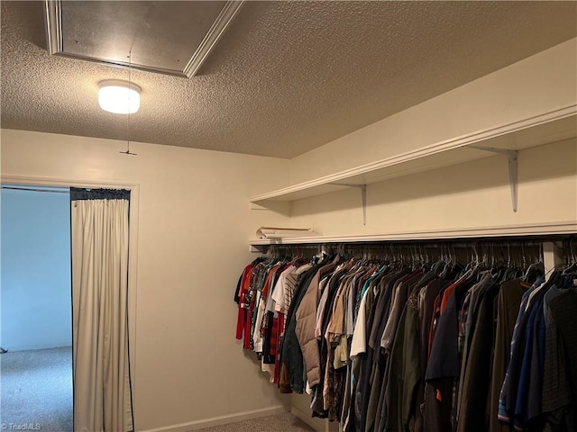 walk in closet with carpet flooring