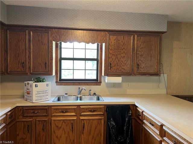 kitchen with a textured ceiling and sink