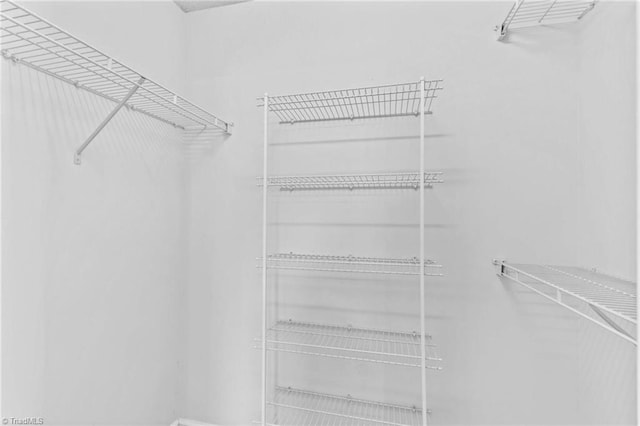 189 Lochshire Ln, Woodleaf, NC 27054 - view of spacious closet
