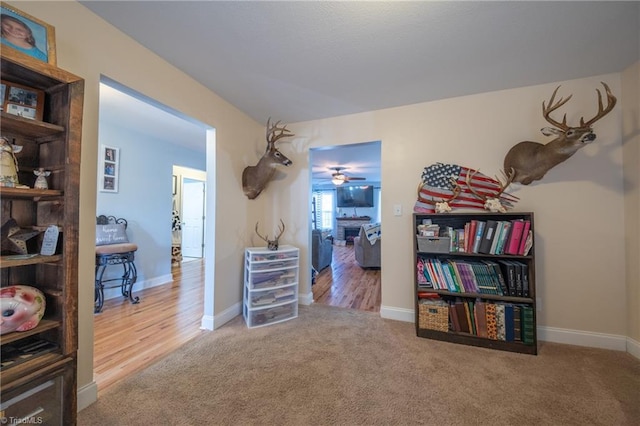 miscellaneous room featuring a fireplace and carpet flooring