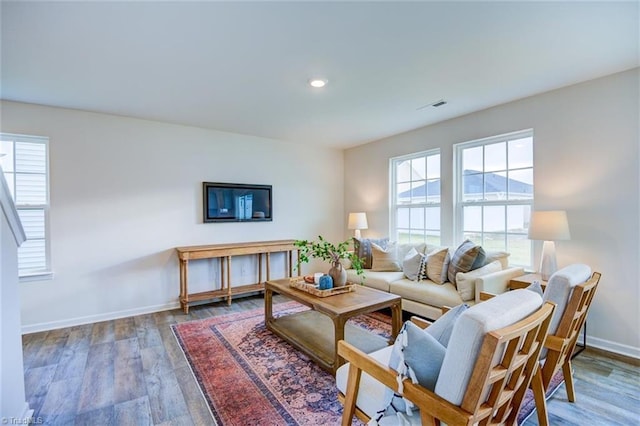 living room with hardwood / wood-style flooring