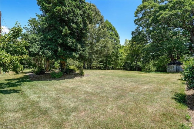 view of yard featuring a storage shed