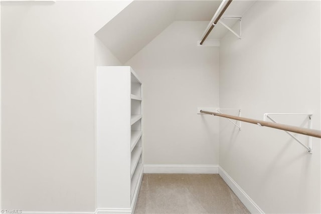 walk in closet featuring carpet floors