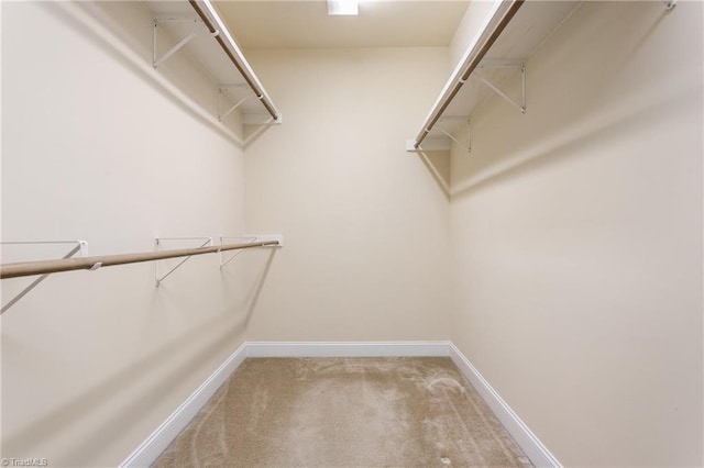 spacious closet featuring light colored carpet