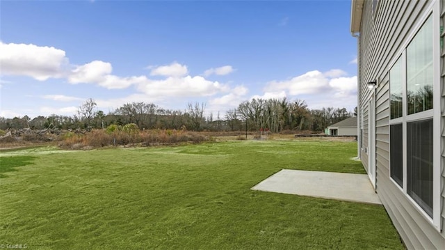 view of yard featuring a patio area