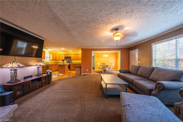 living room featuring ornamental molding, carpet, and a textured ceiling