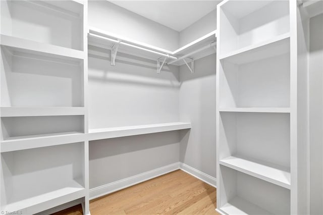 spacious closet featuring wood finished floors