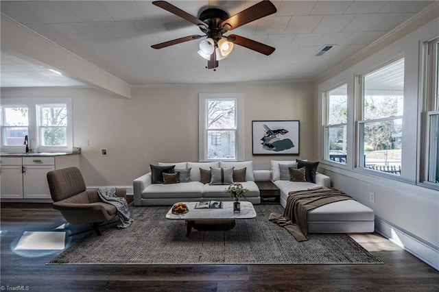 living room with sink, ornamental molding, dark hardwood / wood-style floors, and a healthy amount of sunlight