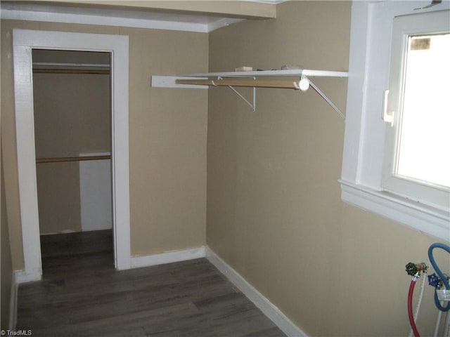 spacious closet with dark hardwood / wood-style floors