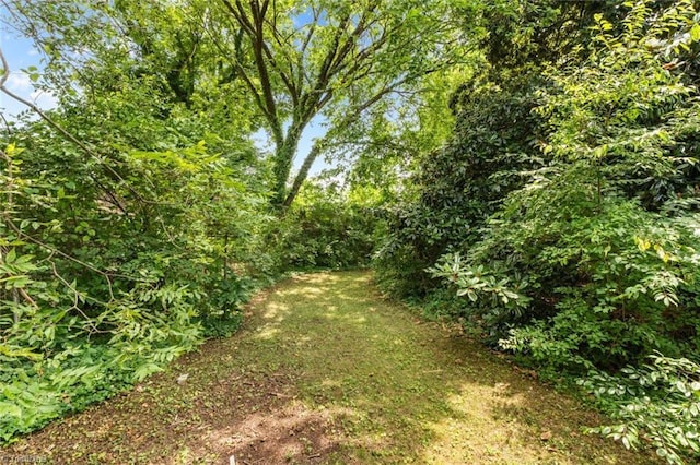506 W 26th St, Winston-Salem, NC 27105 - view of yard