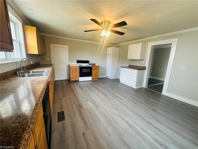 kitchen featuring crown molding, electric range, sink, ceiling fan, and light hardwood / wood-style floors