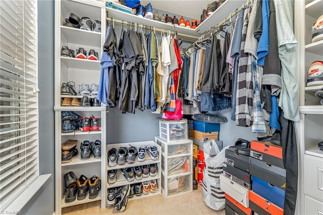 3840 Tarrant Trace Cir, High Point, NC 27265 - walk in closet featuring carpet floors