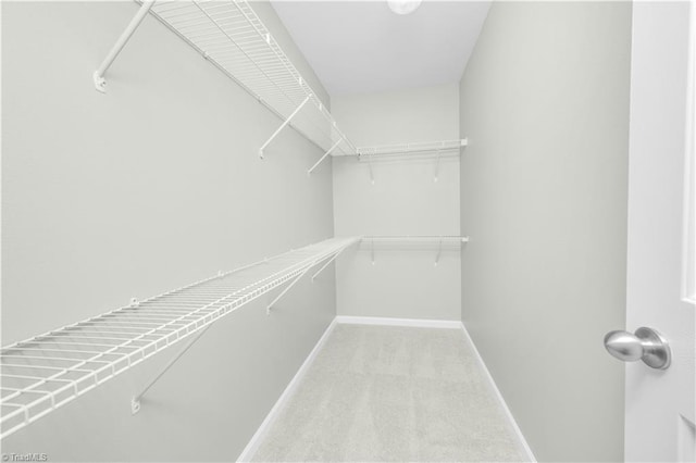 walk in closet with light colored carpet