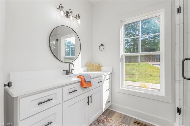 bathroom featuring vanity, hardwood / wood-style flooring, and plenty of natural light