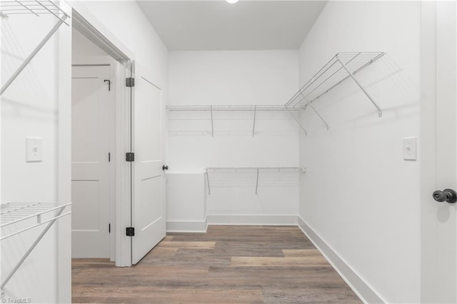 spacious closet with hardwood / wood-style flooring