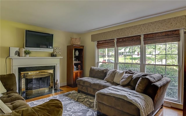 509 Florham Dr, High Point, NC 27262 - living area with a fireplace with flush hearth and wood finished floors