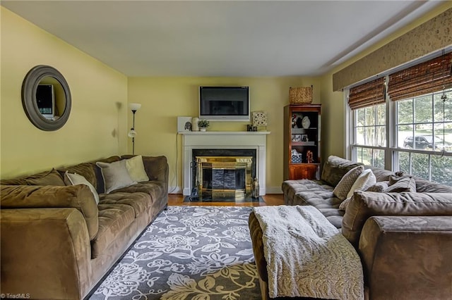 509 Florham Dr, High Point, NC 27262 - living room with a fireplace with flush hearth and wood finished floors