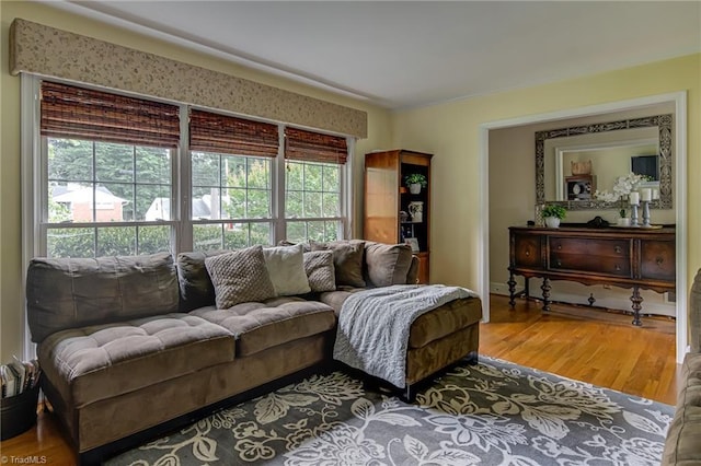 509 Florham Dr, High Point, NC 27262 - living room featuring wood finished floors and baseboards
