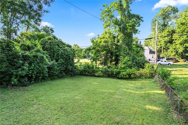 2075 Craig St, Winston-Salem, NC 27103 - view of yard