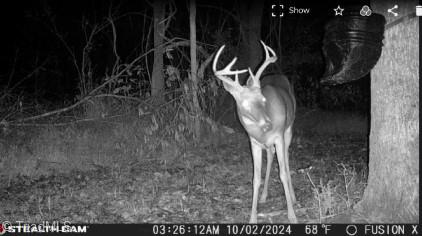 4220, 4250 NC Highway 14, Reidsville, NC 27320