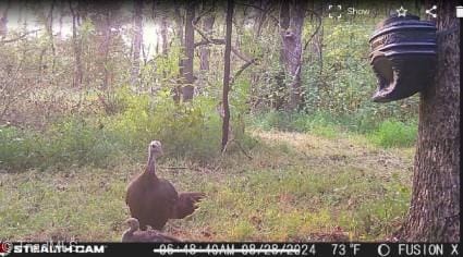 4220, 4250 NC Highway 14, Reidsville, NC 27320