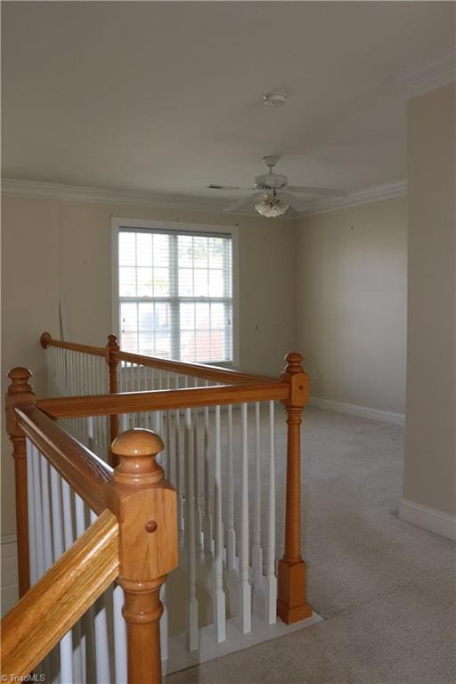 staircase with carpet, ceiling fan, and crown molding