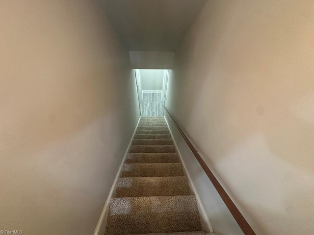 staircase featuring carpet flooring and baseboards