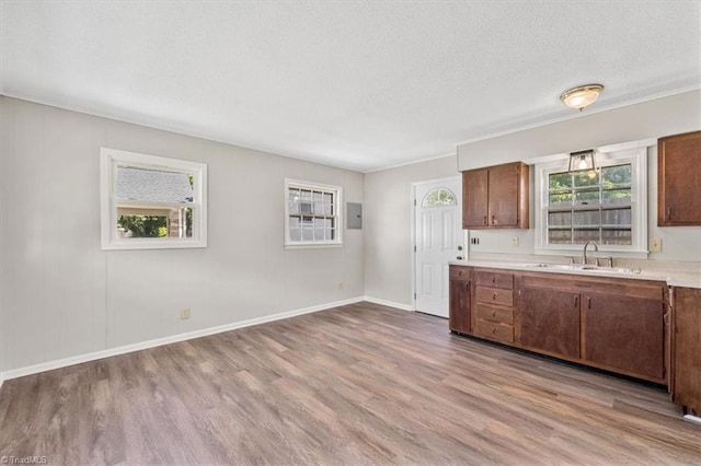 kitchen featuring sink, light hardwood / wood-style flooring, and a textured ceiling